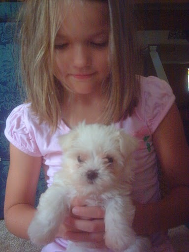 children with a dog