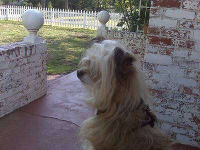 Enjoying the view from the front porch.